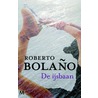 De ijsbaan