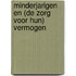 Minderjarigen en (de zorg voor hun) vermogen