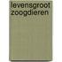 Levensgroot zoogdieren