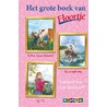 Het grote boek van Floortje door Suzanne Buis