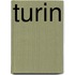 Turin