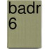 Badr 6