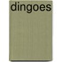 Dingoes
