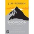 Snowdon