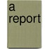 A Report