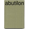 Abutilon by Jesse Russell