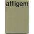 Affligem