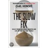 Slow Fix door Carl Honoré