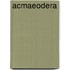 Acmaeodera