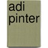 Adi Pinter