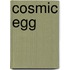 Cosmic Egg
