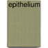Epithelium