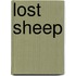 Lost Sheep