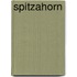 Spitzahorn