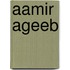 Aamir Ageeb