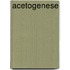 Acetogenese