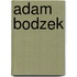 Adam Bodzek