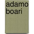 Adamo Boari