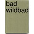 Bad Wildbad