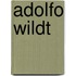 Adolfo Wildt
