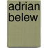Adrian Belew