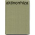 Aktinorrhiza
