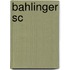 Bahlinger Sc