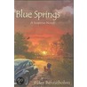 Blue Springs door Wayne McLaughlin