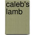 Caleb's Lamb