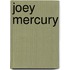 Joey Mercury