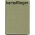 Kampfflieger