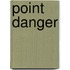 Point Danger