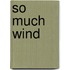 So Much Wind