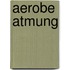 Aerobe Atmung