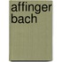 Affinger Bach