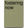 Fostering Now by Fergus Smith