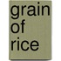 Grain of Rice