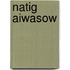Natig Aiwasow