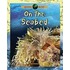 On The Seabed