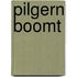 Pilgern boomt