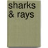 Sharks & Rays