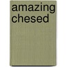 Amazing Chesed door Rabbi Rami Shapiro