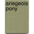 Ariegeois Pony