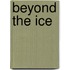 Beyond the Ice