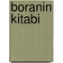 Boranin Kitabi