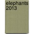 Elephants 2013