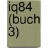Iq84  (buch 3)