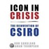 Icon in Crisis