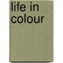 Life in Colour