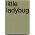 Little Ladybug